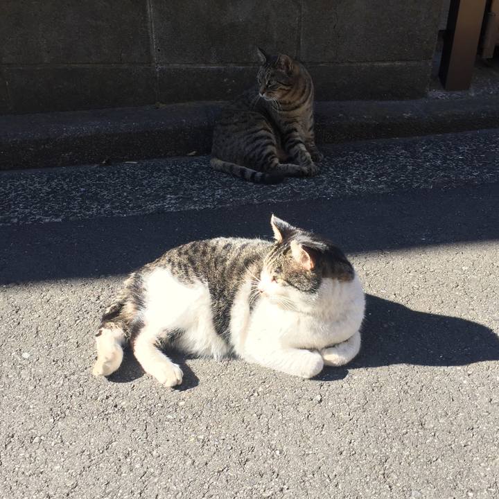 E2a33b72 ea3d 45c7 b9aa b2c50c052778