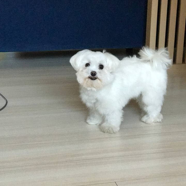 E2a3b193 77ba 4424 a280 e7464ee17ca3