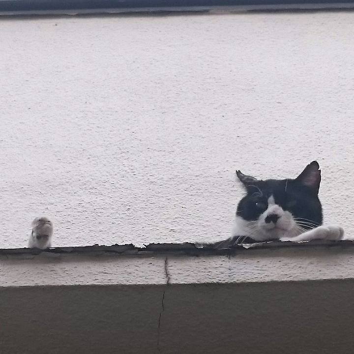 E2a4240a fd4a 4dcc a8ca e7cc0f308088