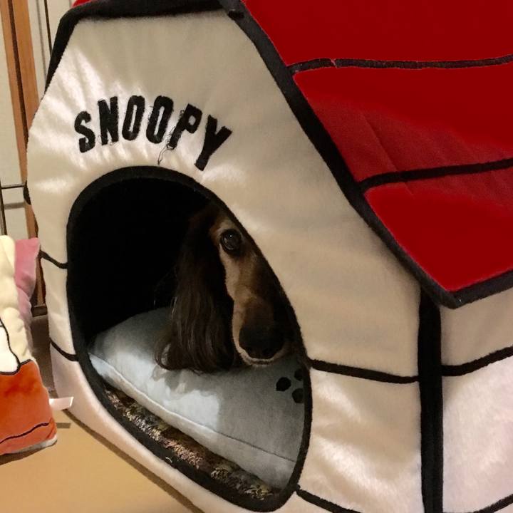 E2a42c00 b482 470a abf6 26330b96670f