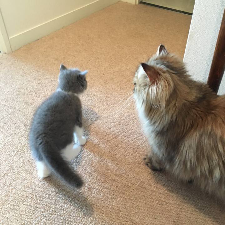 E2a55b18 22d2 47bf 94ec a035db8edd8d