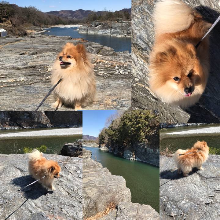 E2a58395 c0fc 4f40 903f aaf59b182e08