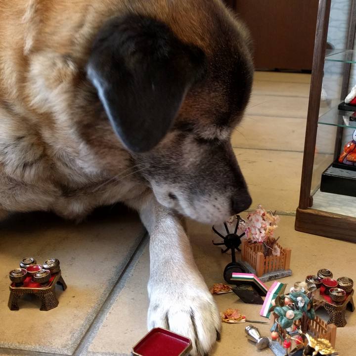 E2a5ca91 a292 4fc9 bbef e204181f8e4f