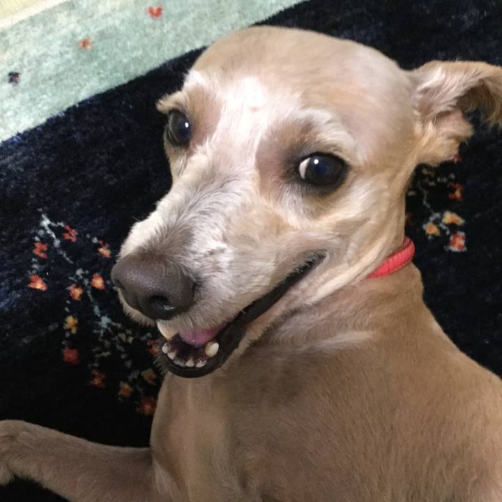 E2a5ff8a 6826 45c4 9286 2f71fcd4def8