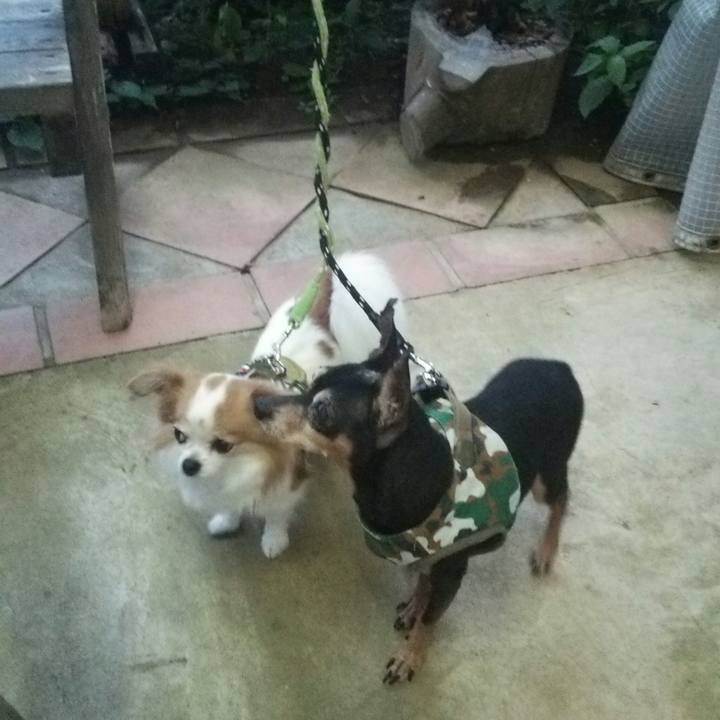 E2a6668f 7092 446c a067 642f24414b21