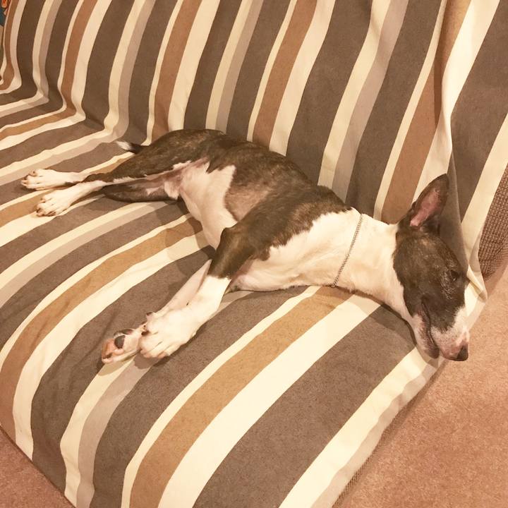 E2a6b3b5 0ab6 490b 9f98 2232303c35b4