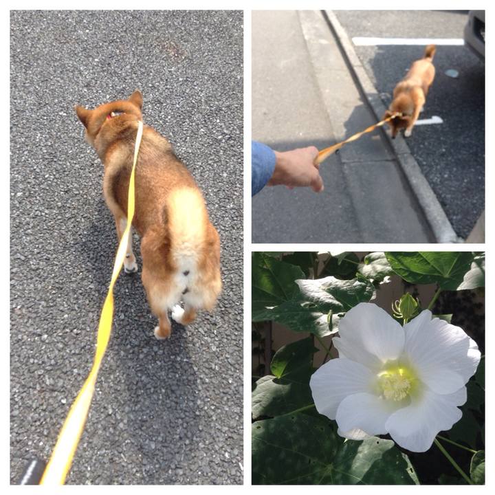 E2a6d5a2 5360 4eab 9fa5 c40553d289a0