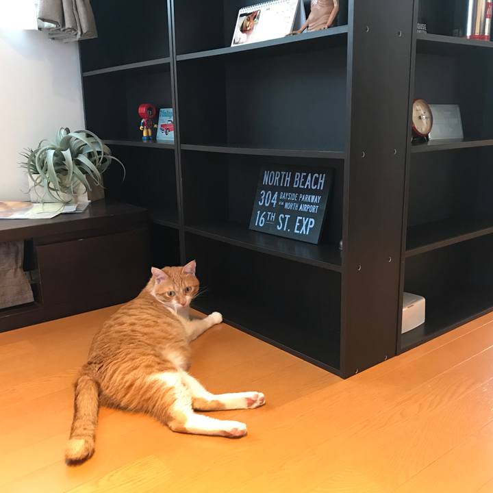 E2a6e29a 4609 49c6 bda5 4a3b1d707eef