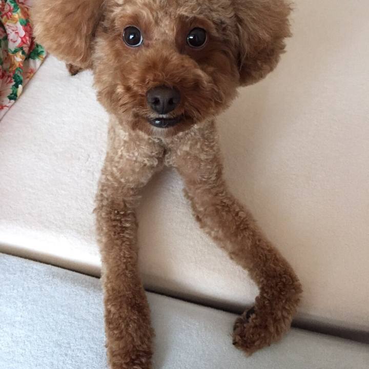 E2a7078f 1e36 49dd 8ea0 8ea61522655f