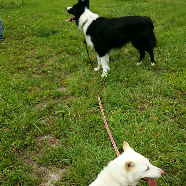 E2a70b59 0cad 4207 b0a9 c299ea767b37