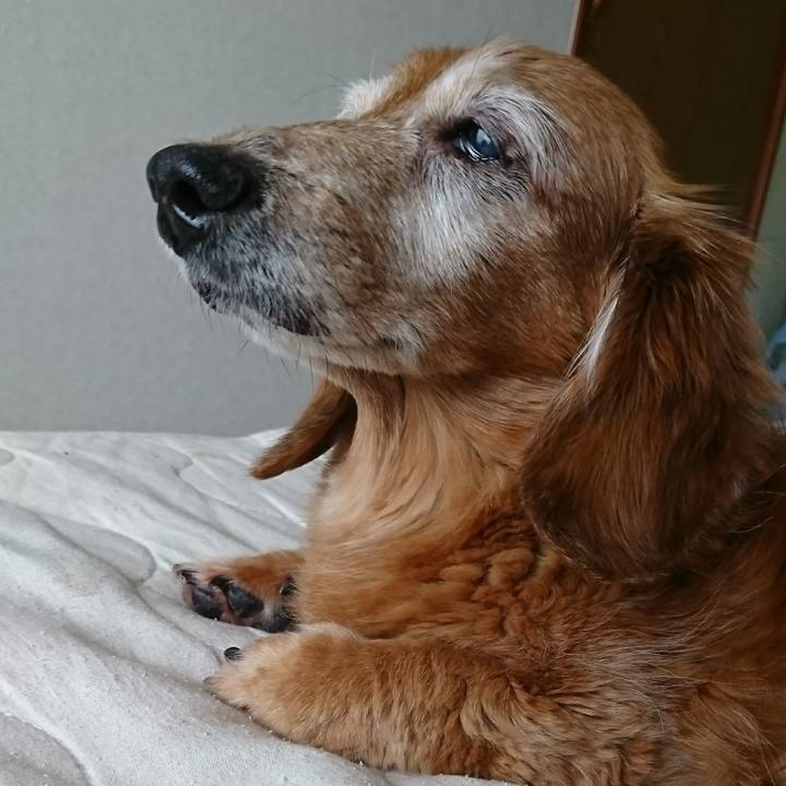 E2a77ead ffab 47d8 bc40 a7aacdf6a7f6