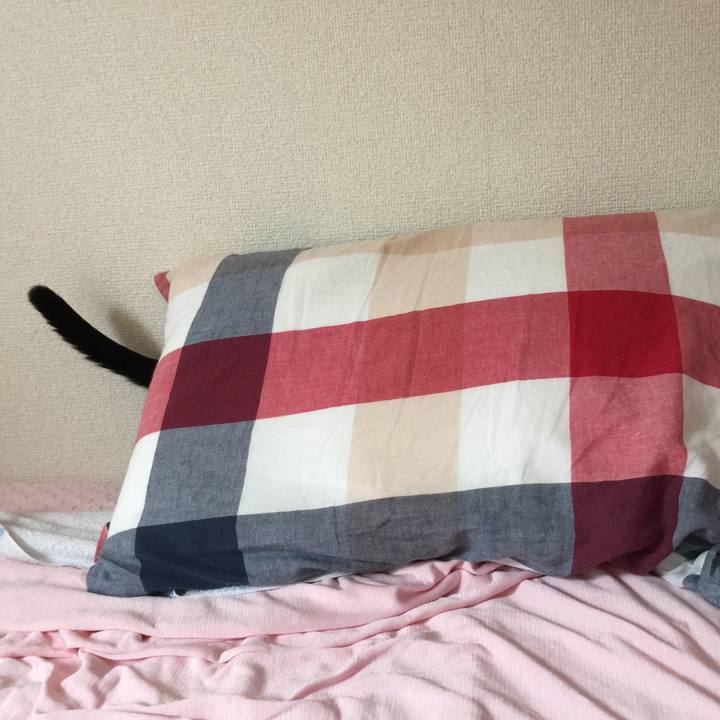 E2a78647 2ca8 4eb4 9ce7 2772f5f88b72