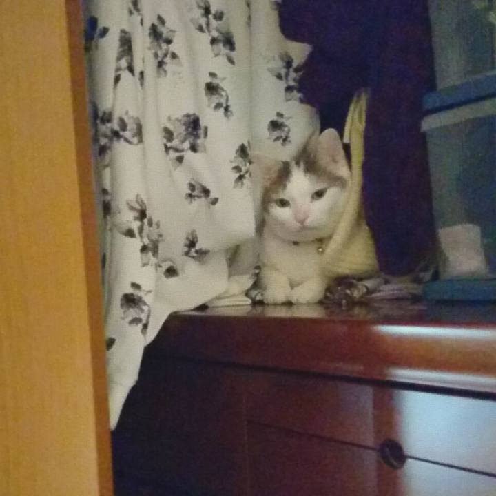 E2a83c88 136c 4e91 a450 176796884ece