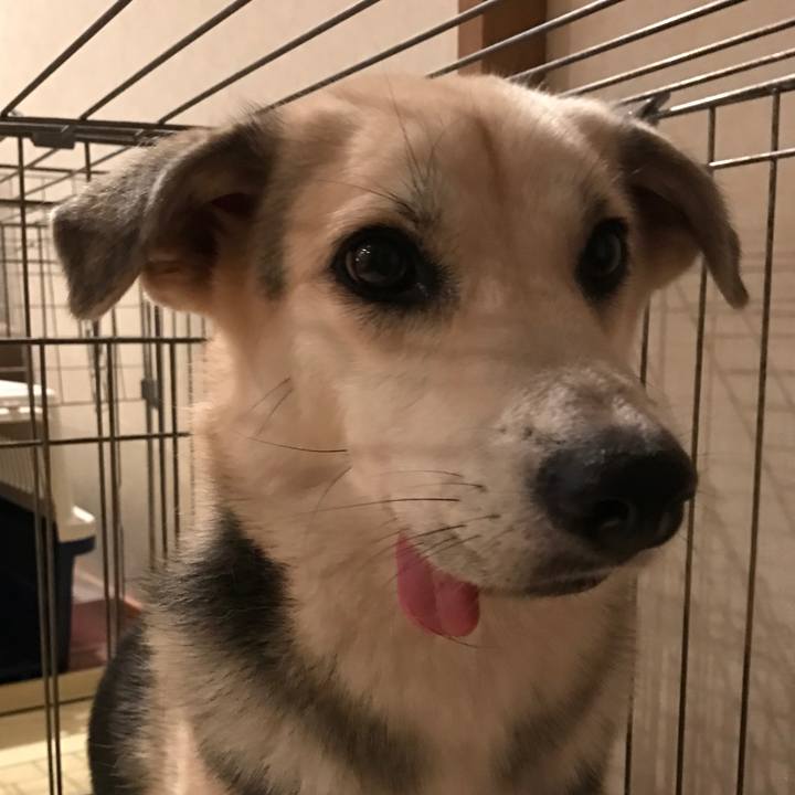 E2a845dd b3f7 41bf 916f 4b2d9b5610b2