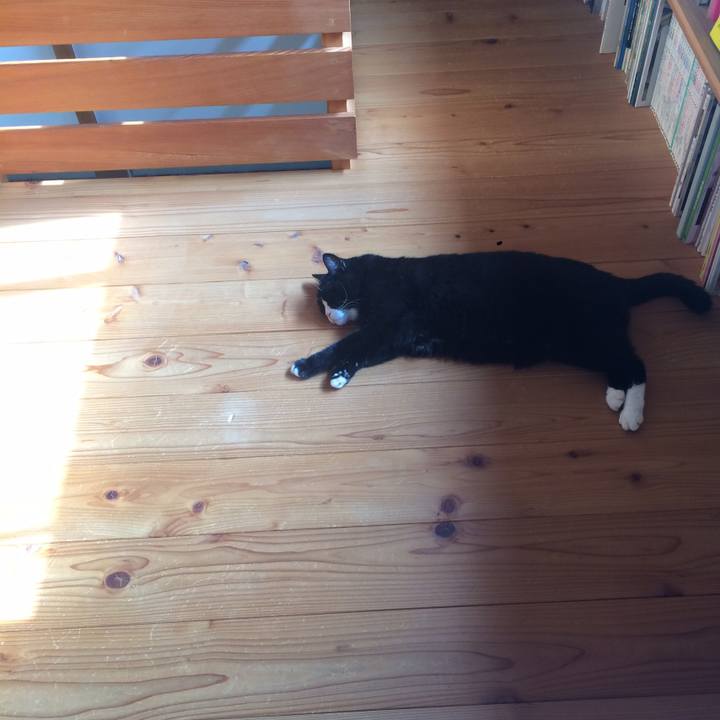 E2a8614d 022a 4f4f 8ec8 c20953b7cb61