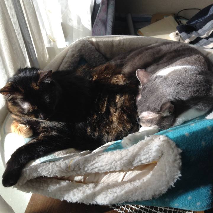 E2a8c3ae 83f9 4671 ac40 cdb23e382286