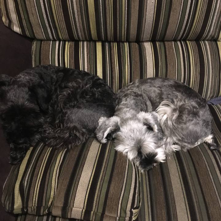 E2a8e14e 0e17 4be1 a510 27aa29c27be6