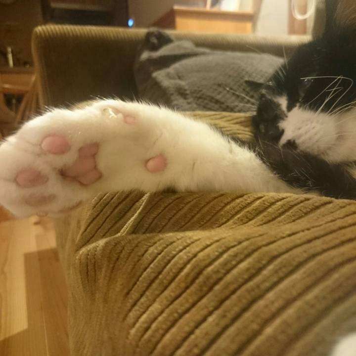 E2a8f44d 0d8b 44f6 ad3e c653b8d357a8