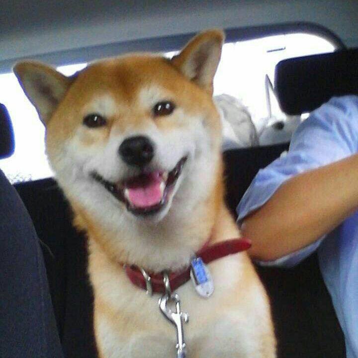 E2a90eca 6c92 4d1e b70b 7f956889d6d3