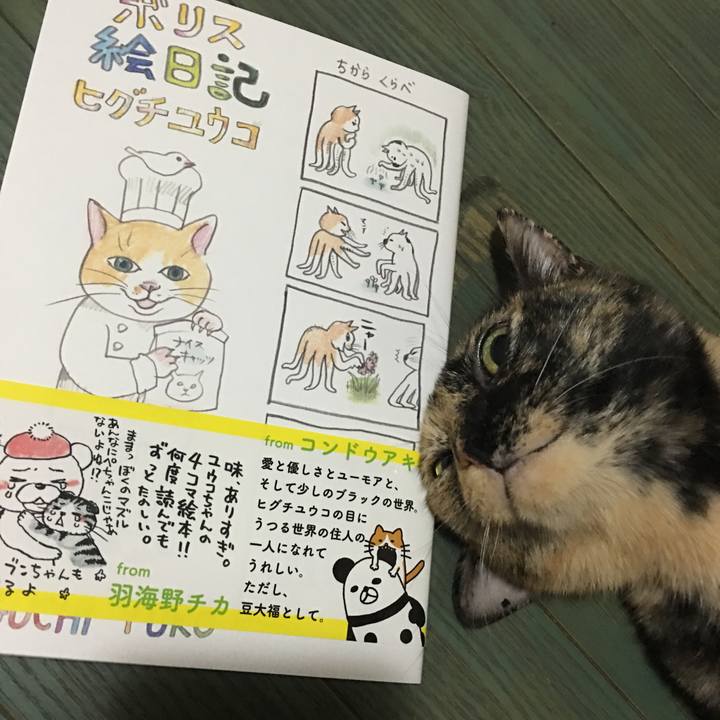 E2a933c9 9e79 40f5 992d 255790a80ad9