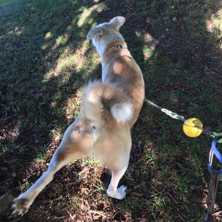 E2a93f23 ff1a 4a1c 8e35 7f1d4113df12