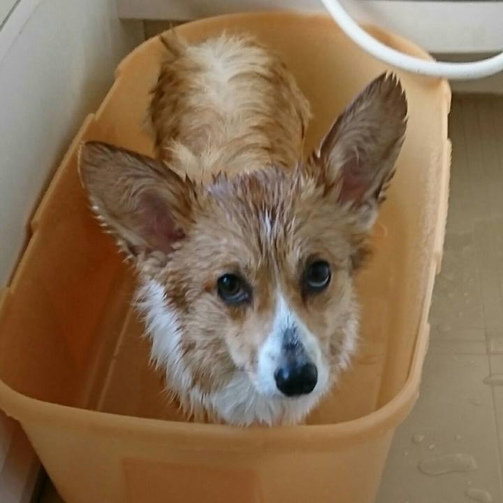 E2aa63ca c9b7 4fbb 87b3 df303c9c1e2e