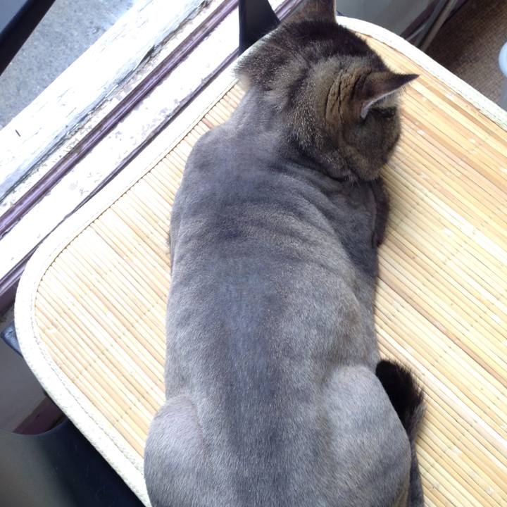 E2aaeb6e 59a0 441b 9be9 d570b98196d0