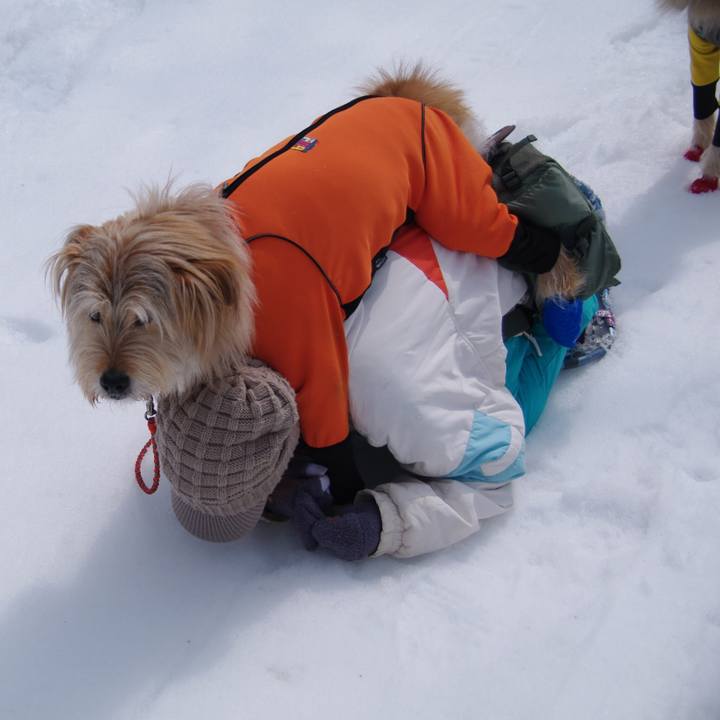 E2aafc07 55f4 41b6 ae1d 9c07528588e7