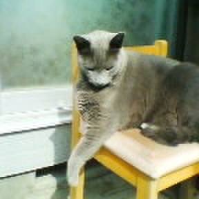 E2ab1fbc fef3 49d9 8158 1bd323c5604e