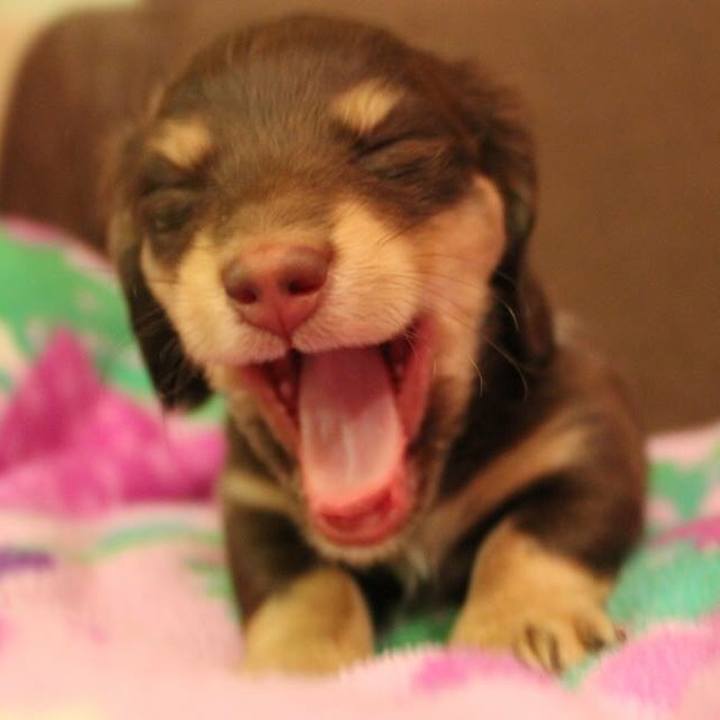 E2ab38ec 6e83 41e2 b6a6 04301c916803