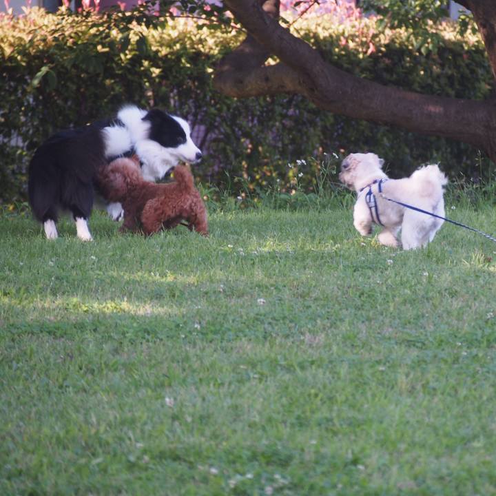 E2ab4cff 0106 4741 a8b1 37851d31986a