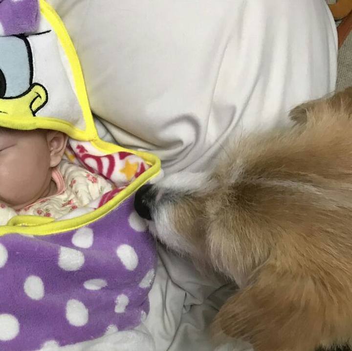 E2ab866a 2a43 46c1 abff 27fdfd272179