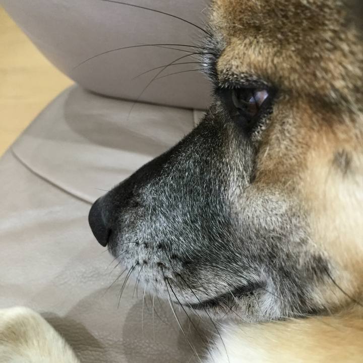 E2ab8eb2 33f2 41b7 9e4e 865c39a7f5d4