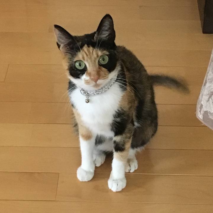 E2abbbe3 3724 4a91 8779 159a2b7ea5a8