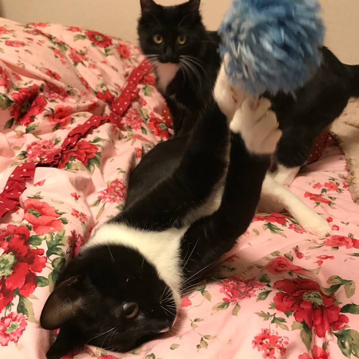 E2abc63e a98a 42d1 b459 e9ff37e4895f