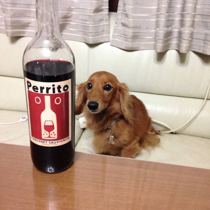 E2abd09b ed50 429c 8f9a 0d61f0695eb8