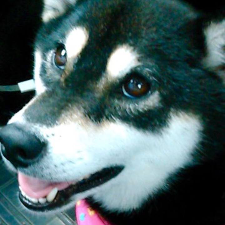 E2acd54e 7d4c 4de0 8b7e 4663530f92ec