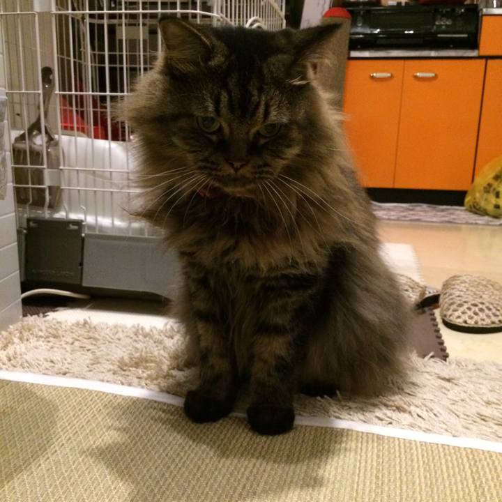 E2acd605 22c3 4654 a978 b67091f403ff