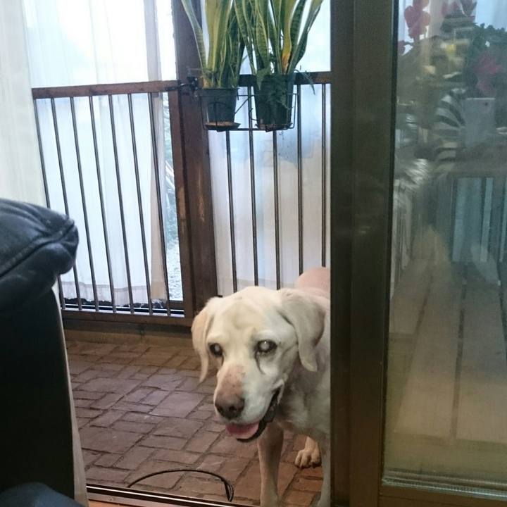 E2ad09ec 56db 444d b0b7 b4d0ef61db6d