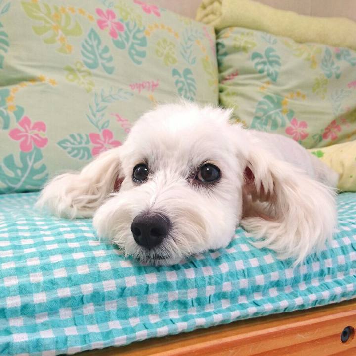 E2ad0b6e 0704 43c0 ad46 77d3a6367c98