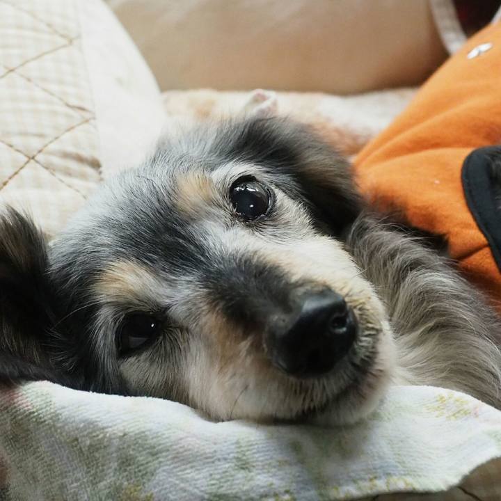 E2ad70a4 3716 4a8b b530 c6cc72140dfa