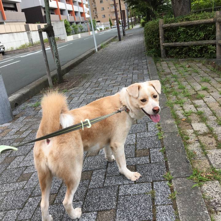 E2ad901f 451b 4026 9198 679452d1397b