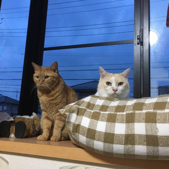 E2ada59d dcab 4520 a5c4 2390f39ceee2