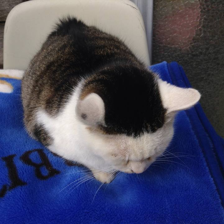 E2ade1b4 1f3e 4613 bc97 ae188fee7950