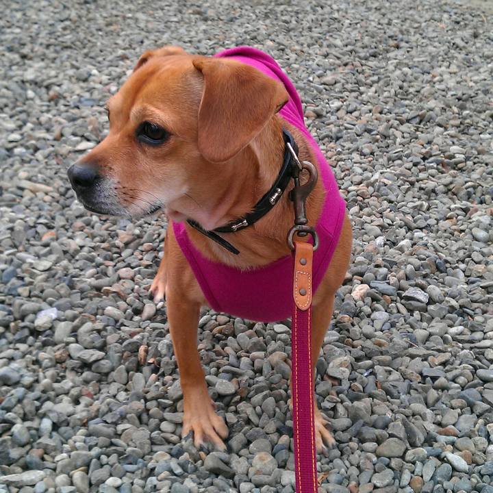 E2ae2505 f5a5 4fd8 b038 88a164c59179