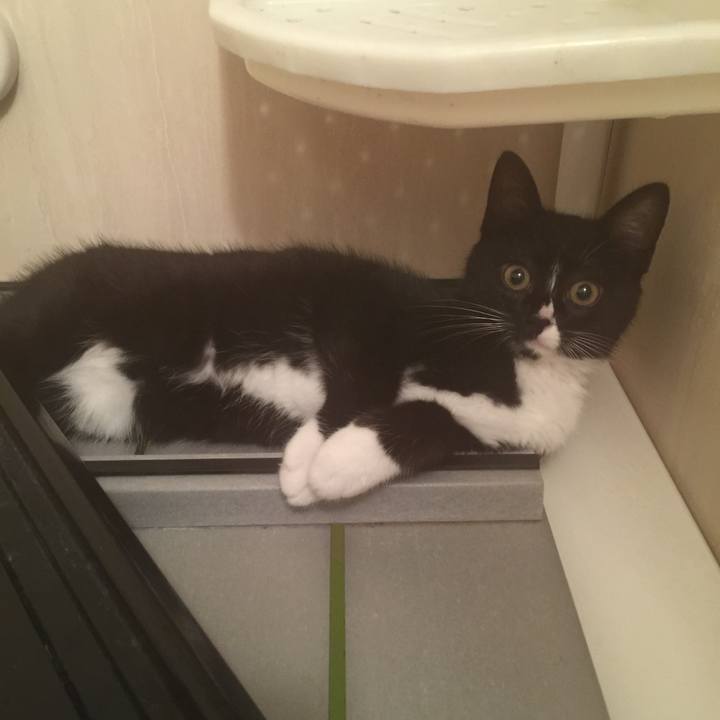 E2b03c6b 1aa6 4e46 8d7c f55528751db6