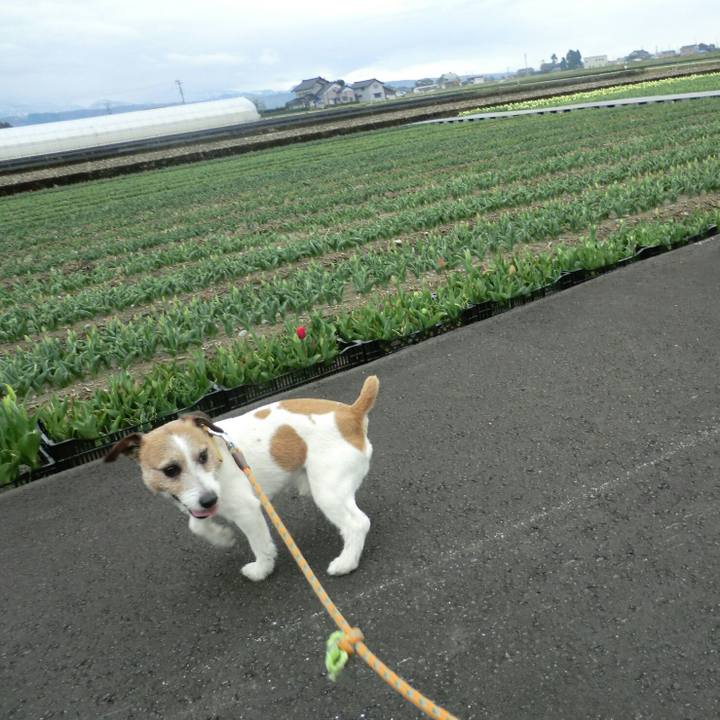 E2b06a6b f8b2 451a bb17 806886f07e66