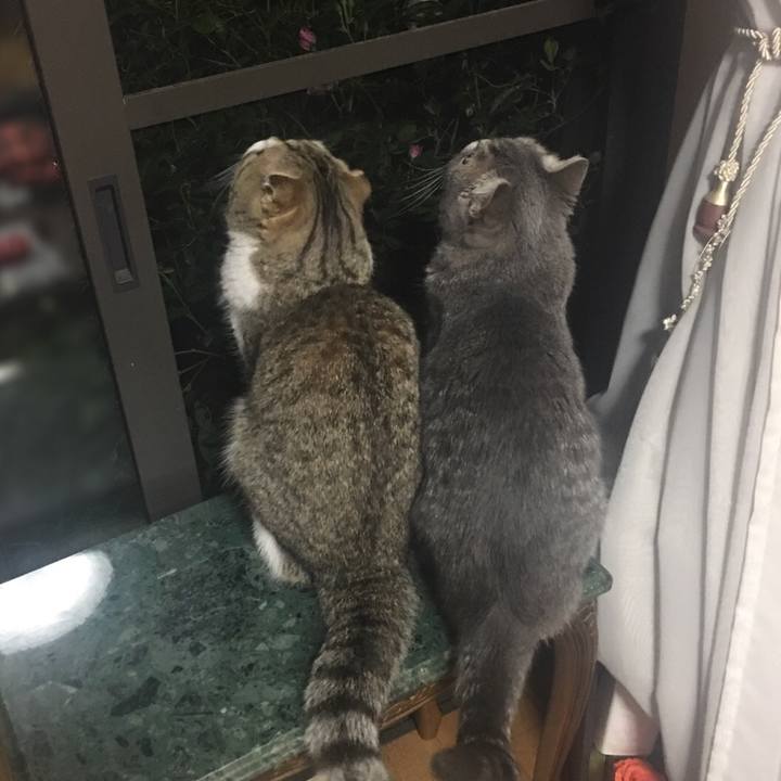 E2b0ece7 7788 4c24 bebf 9422336a86a0