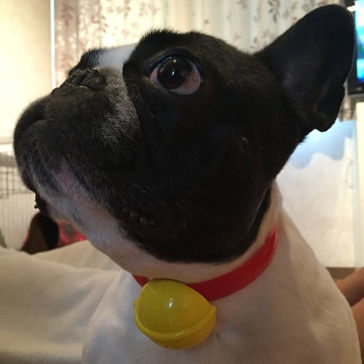 E2b10cfc 7139 4a5f 9975 749ed1abe3c5