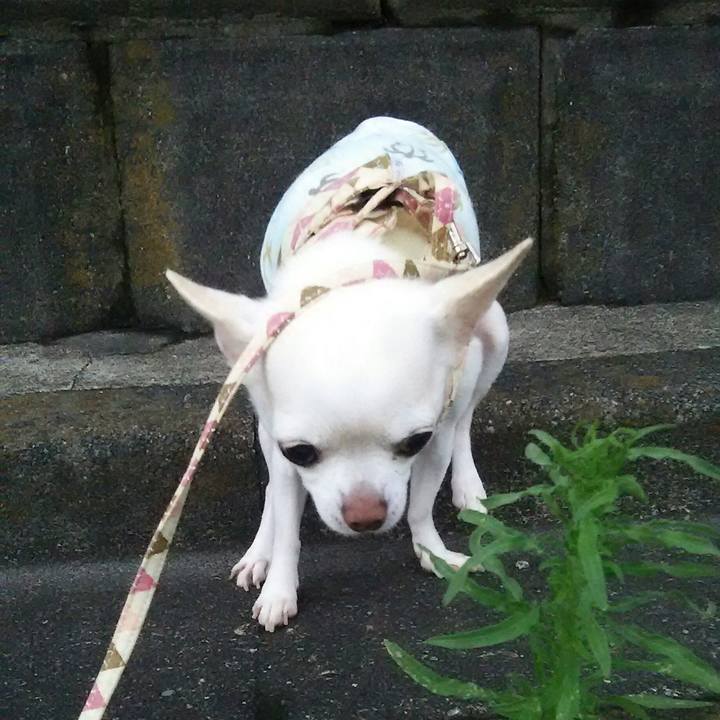 E2b13bba 380e 4ac7 8f7b 0d7a0a5a1643